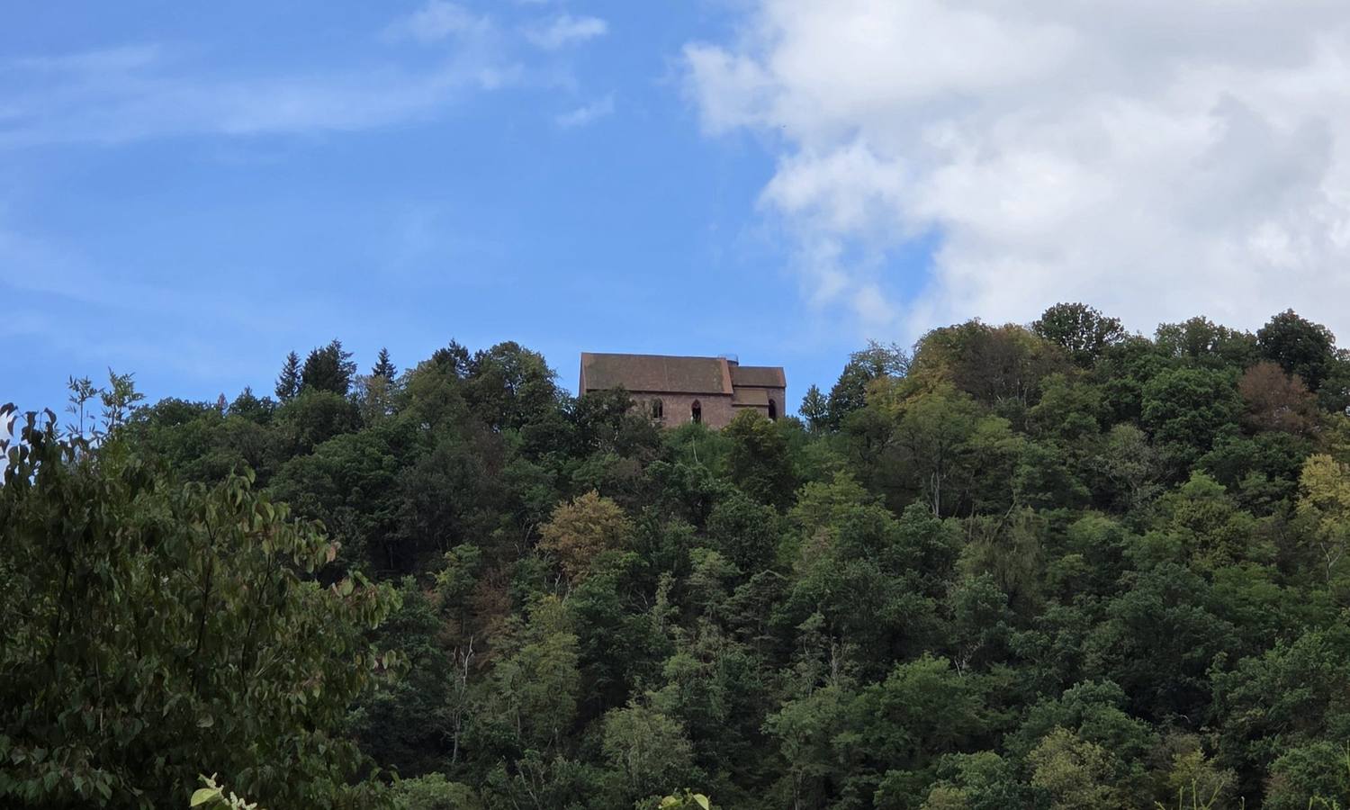 Gotthardsruine Amorbach von weitem