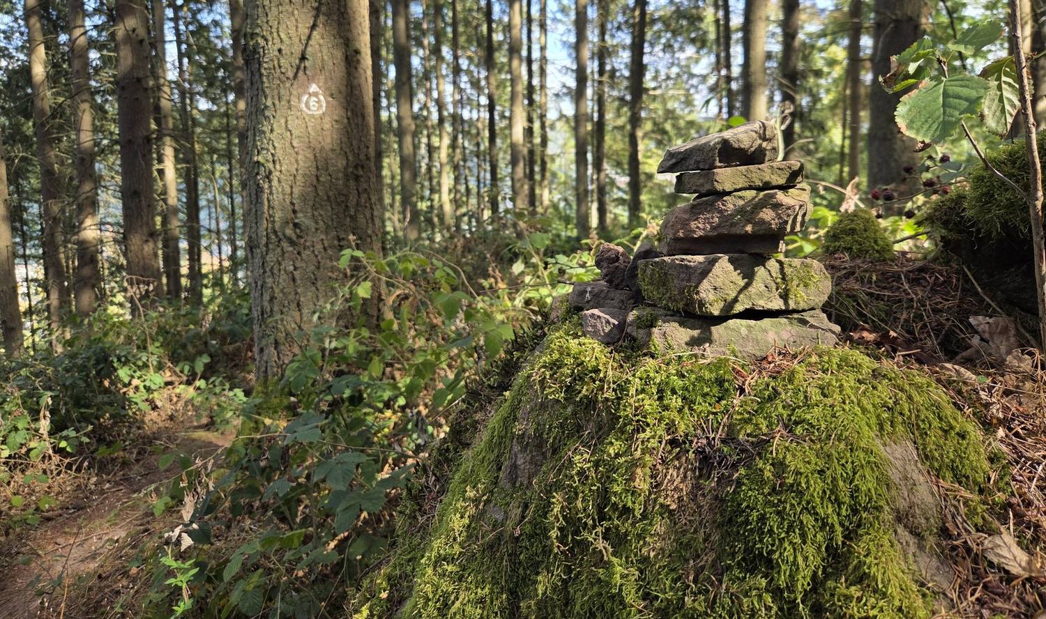 Kleine Steinsäule am Wegrand
